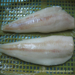 murah fillet ikan alaska pollock beku dengan harga murah